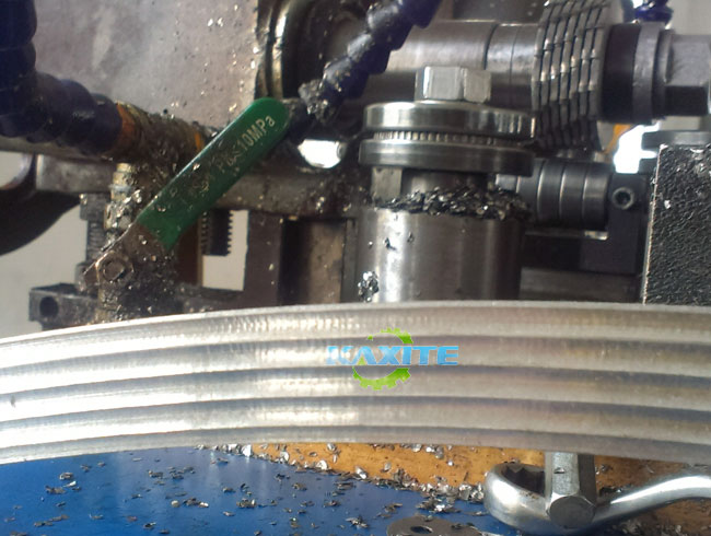 sene gasket (kammprofile gasket), e etselitsoeng bareki ba Switzerland